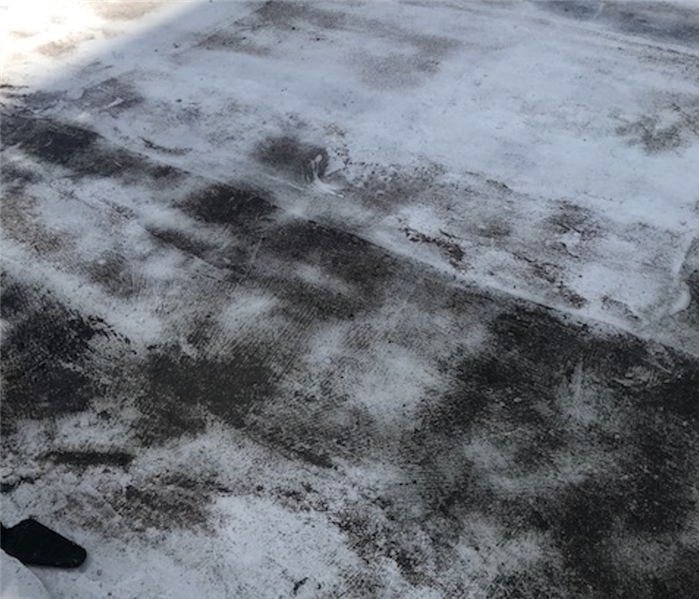Mold growing on flat roof