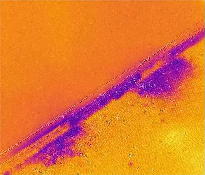 Image of water hidden in between baseboard used a thermal imaging camera